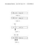 SIMPLE VACCINES FROM DNA LAUNCHED SUICIDAL FLAVIVIRUSES diagram and image