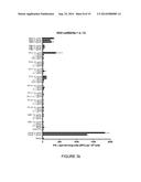 SIMPLE VACCINES FROM DNA LAUNCHED SUICIDAL FLAVIVIRUSES diagram and image