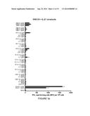 SIMPLE VACCINES FROM DNA LAUNCHED SUICIDAL FLAVIVIRUSES diagram and image