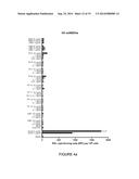 SIMPLE VACCINES FROM DNA LAUNCHED SUICIDAL FLAVIVIRUSES diagram and image