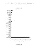 SIMPLE VACCINES FROM DNA LAUNCHED SUICIDAL FLAVIVIRUSES diagram and image