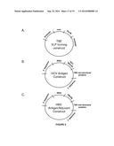 SIMPLE VACCINES FROM DNA LAUNCHED SUICIDAL FLAVIVIRUSES diagram and image