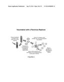 SIMPLE VACCINES FROM DNA LAUNCHED SUICIDAL FLAVIVIRUSES diagram and image