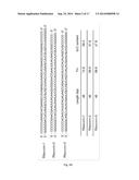 Double-Stranded RNA For Immunostimulation diagram and image