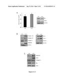 CERAMIDASE AND CELL DIFFERENTIATION diagram and image