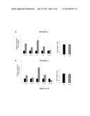 CERAMIDASE AND CELL DIFFERENTIATION diagram and image