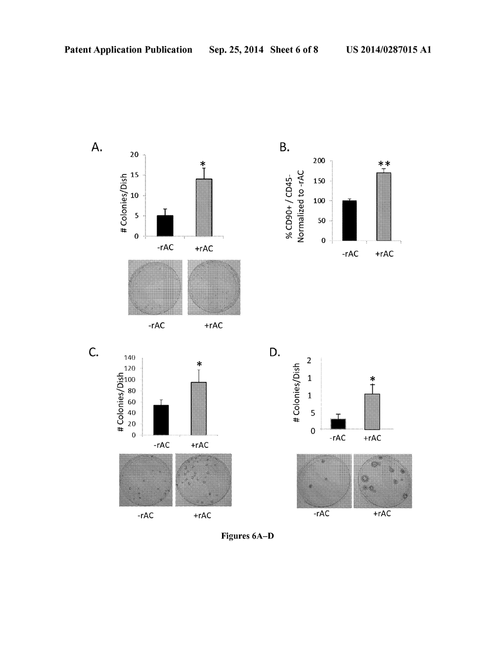 CERAMIDASE AND CELL DIFFERENTIATION - diagram, schematic, and image 07