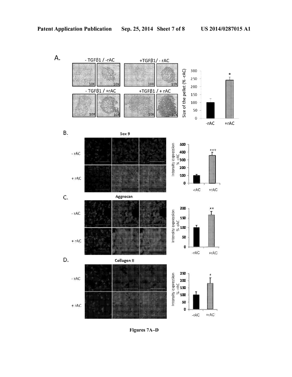 CERAMIDASE AND CELL DIFFERENTIATION - diagram, schematic, and image 08