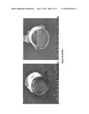 NANOPARTICLE-BASED SCAFFOLDS AND IMPLANTS, METHODS FOR MAKING THE SAME,     AND APPLICATIONS THEREOF diagram and image