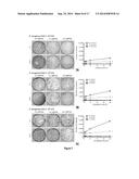 NANOPARTICLE-BASED SCAFFOLDS AND IMPLANTS, METHODS FOR MAKING THE SAME,     AND APPLICATIONS THEREOF diagram and image