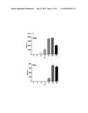 5 -TRIPHOSPHATE OLIGORIBONUCLEOTIDES diagram and image