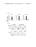 5 -TRIPHOSPHATE OLIGORIBONUCLEOTIDES diagram and image