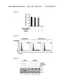 5 -TRIPHOSPHATE OLIGORIBONUCLEOTIDES diagram and image