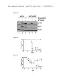 5 -TRIPHOSPHATE OLIGORIBONUCLEOTIDES diagram and image