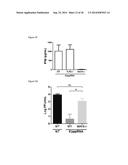 5 -TRIPHOSPHATE OLIGORIBONUCLEOTIDES diagram and image