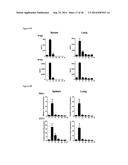 5 -TRIPHOSPHATE OLIGORIBONUCLEOTIDES diagram and image