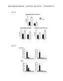 5 -TRIPHOSPHATE OLIGORIBONUCLEOTIDES diagram and image