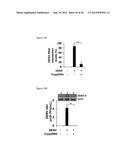 5 -TRIPHOSPHATE OLIGORIBONUCLEOTIDES diagram and image