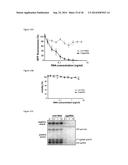 5 -TRIPHOSPHATE OLIGORIBONUCLEOTIDES diagram and image