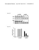 5 -TRIPHOSPHATE OLIGORIBONUCLEOTIDES diagram and image