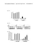 5 -TRIPHOSPHATE OLIGORIBONUCLEOTIDES diagram and image