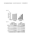 5 -TRIPHOSPHATE OLIGORIBONUCLEOTIDES diagram and image