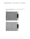 FIBRIN SEALANT (FIBRINGLURAAS) CONSISTING OF A KIT OF LYOPHILIZED OR     FROZEN HIGH CONCENTRATE FRIBINOGEN diagram and image