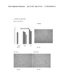 FIBRIN SEALANT (FIBRINGLURAAS) CONSISTING OF A KIT OF LYOPHILIZED OR     FROZEN HIGH CONCENTRATE FRIBINOGEN diagram and image