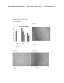 FIBRIN SEALANT (FIBRINGLURAAS) CONSISTING OF A KIT OF LYOPHILIZED OR     FROZEN HIGH CONCENTRATE FRIBINOGEN diagram and image