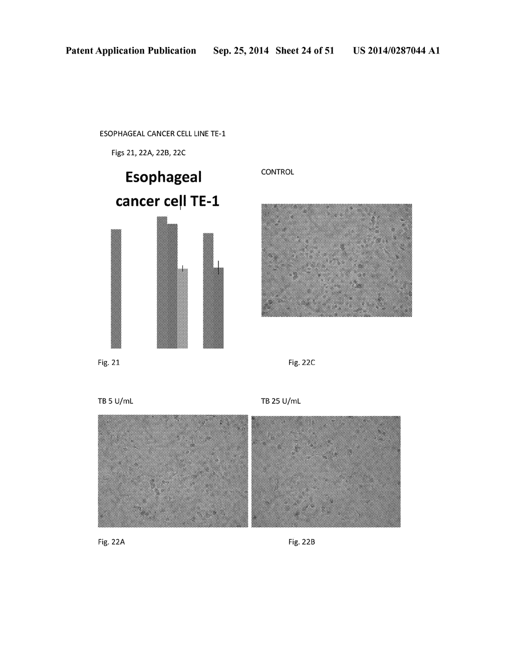 FIBRIN SEALANT (FIBRINGLURAAS) CONSISTING OF A KIT OF LYOPHILIZED OR     FROZEN HIGH CONCENTRATE FRIBINOGEN - diagram, schematic, and image 25