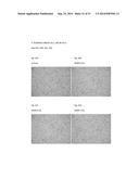 FIBRIN SEALANT (FIBRINGLURAAS) CONSISTING OF A KIT OF LYOPHILIZED OR     FROZEN HIGH CONCENTRATE FRIBINOGEN diagram and image