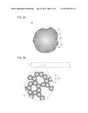 ELECTRODE CATALYST LAYER FOR FUEL CELL diagram and image