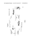 ANTIBODY AND ANTIBODY MIMETIC FOR VISUALIZATION AND ABLATION OF ENDOGENOUS     PROTEINS diagram and image