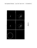 ANTIBODY AND ANTIBODY MIMETIC FOR VISUALIZATION AND ABLATION OF ENDOGENOUS     PROTEINS diagram and image