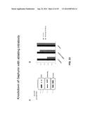 ANTIBODY AND ANTIBODY MIMETIC FOR VISUALIZATION AND ABLATION OF ENDOGENOUS     PROTEINS diagram and image