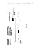 ANTIBODY AND ANTIBODY MIMETIC FOR VISUALIZATION AND ABLATION OF ENDOGENOUS     PROTEINS diagram and image