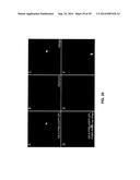 ANTIBODY AND ANTIBODY MIMETIC FOR VISUALIZATION AND ABLATION OF ENDOGENOUS     PROTEINS diagram and image