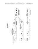 COMPOSITIONS AND METHODS FOR CAPTURE OF CELLULAR TARGETS OF BIOACTIVE     AGENTS diagram and image