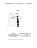 COMPOSITIONS AND METHODS FOR CAPTURE OF CELLULAR TARGETS OF BIOACTIVE     AGENTS diagram and image