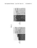 ANTIBODY SPECIFIC TO PROFILAGGRIN C-TERMINAL DOMAIN, AND USE THEREOF diagram and image