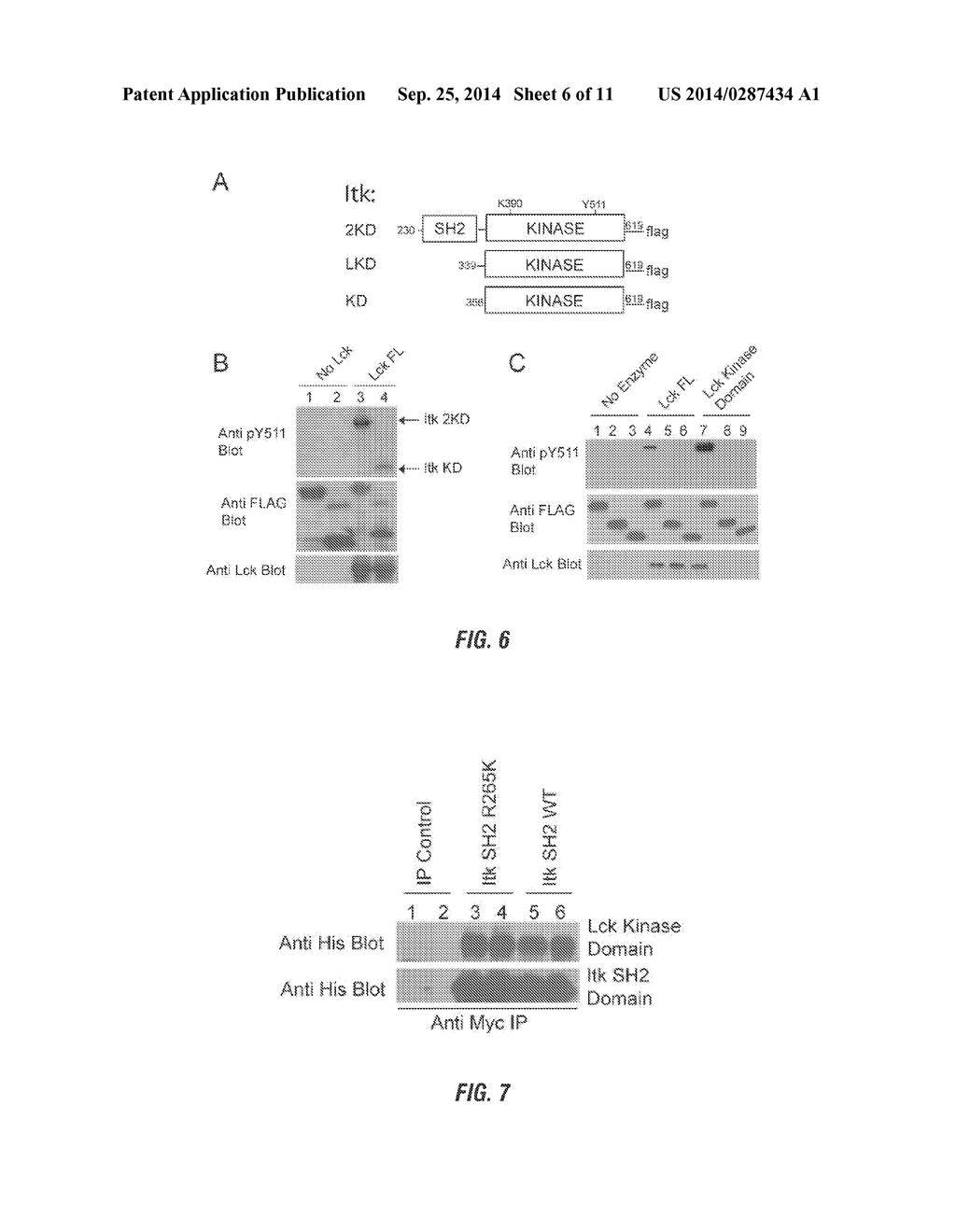 METHODS OF SCREENING FOR AND IDENTIFYING COMPOSITIONS WHICH MODULATE     CELLULAR KINASE ACTIVITIES - diagram, schematic, and image 07