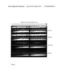 METHODS FOR PRODUCING SEMICONDUCTOR NANOPARTICLES diagram and image