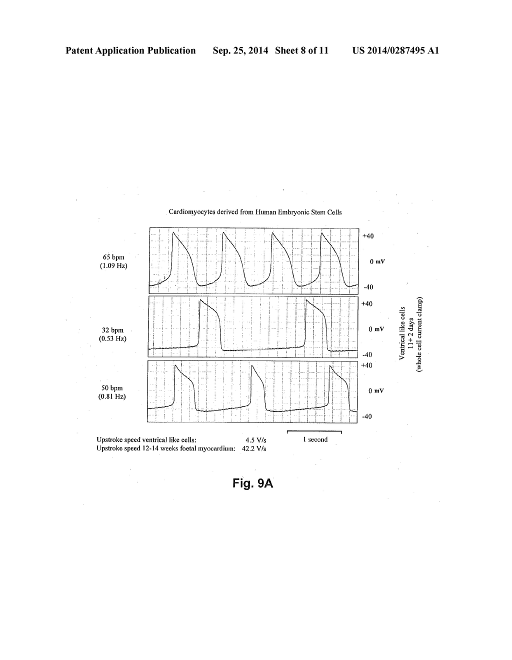 Methods of Inducing Differentiation of Stem Cells - diagram, schematic, and image 09