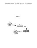 HUMAN DISC TISSUE diagram and image