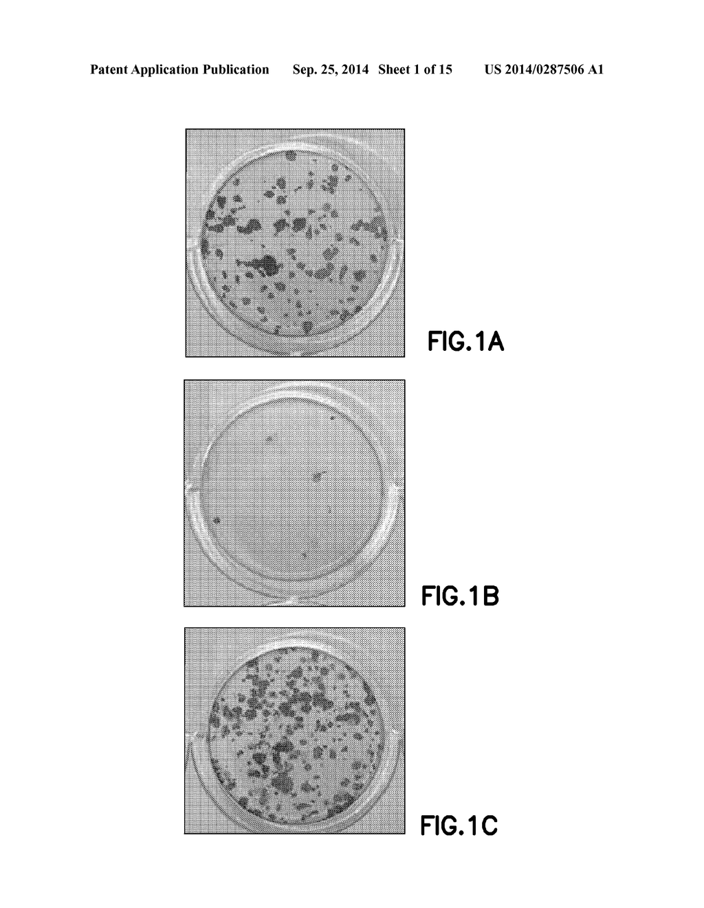 DEFINED CELL CULTURING SURFACES AND METHODS OF USE - diagram, schematic, and image 02