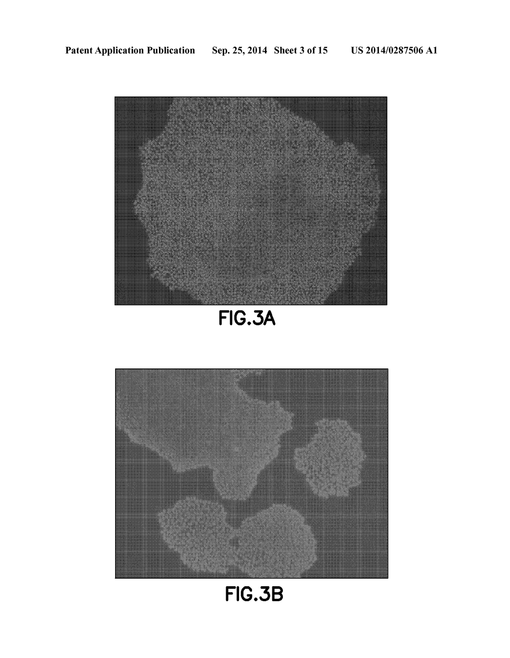 DEFINED CELL CULTURING SURFACES AND METHODS OF USE - diagram, schematic, and image 04