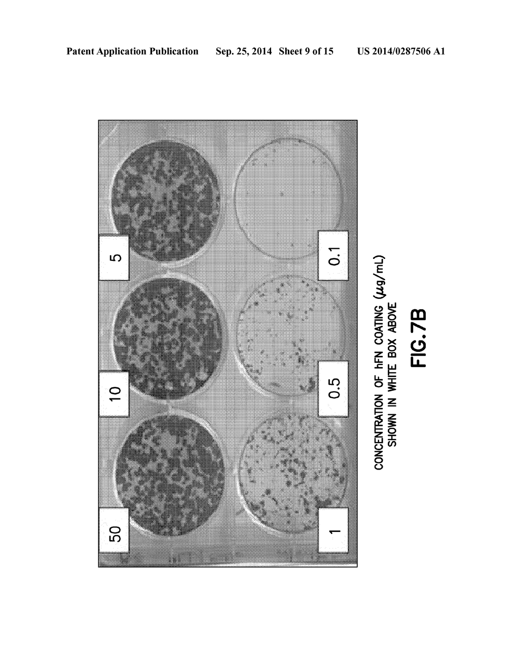 DEFINED CELL CULTURING SURFACES AND METHODS OF USE - diagram, schematic, and image 10