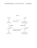INCORPORATION OF METHYL LYSINE INTO POLYPEPTIDES diagram and image