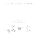 INCORPORATION OF METHYL LYSINE INTO POLYPEPTIDES diagram and image