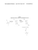 INCORPORATION OF METHYL LYSINE INTO POLYPEPTIDES diagram and image